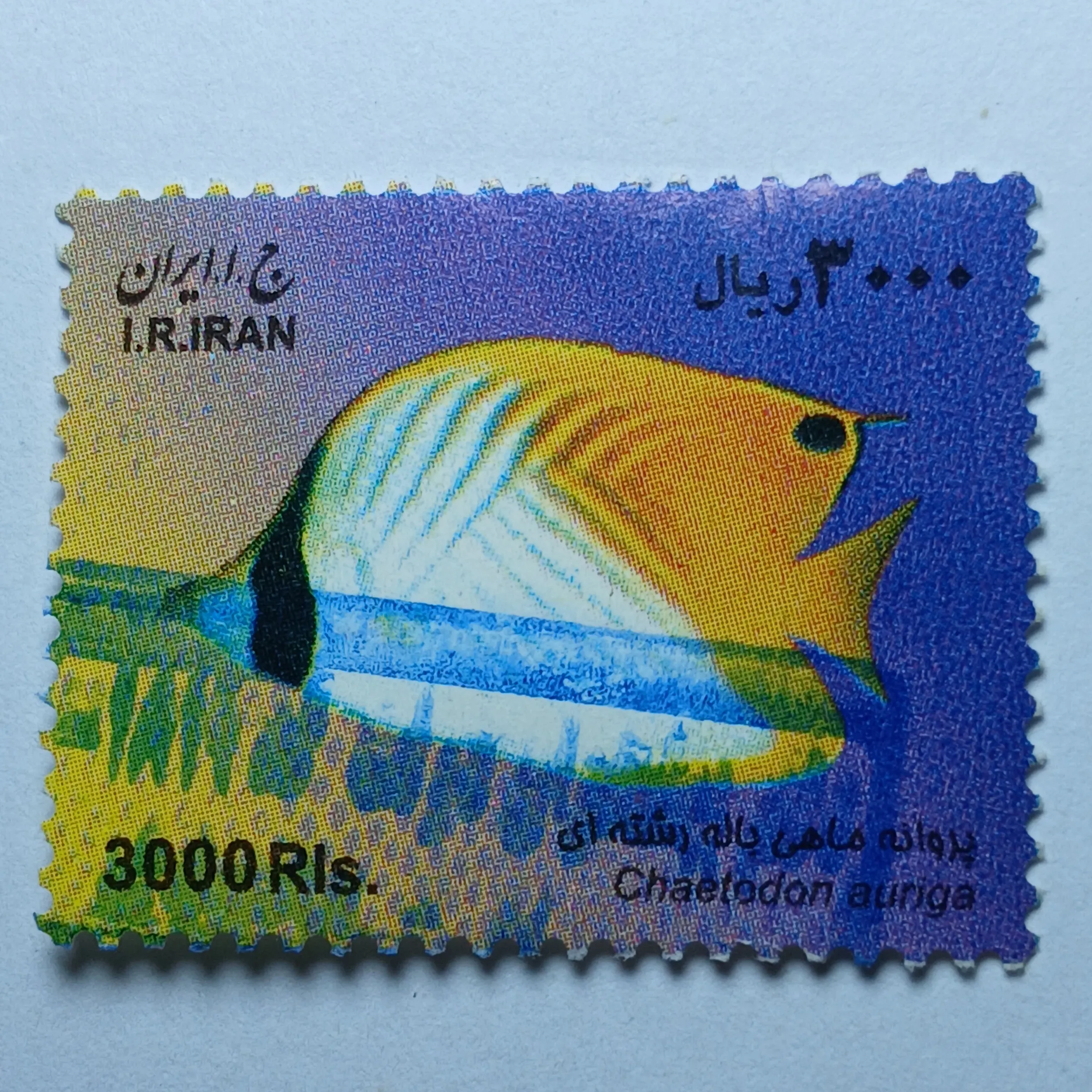 تمبر ایران 3000 ریال جمهوری اسلامی ایران طرح ماهی و حیات دریایی